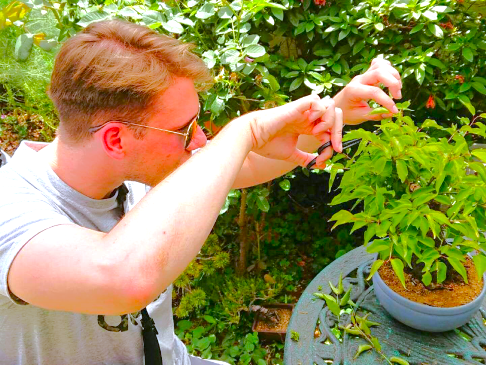 Bonsai Tour & Experience at the Most Sacred Bonsai's City in JP