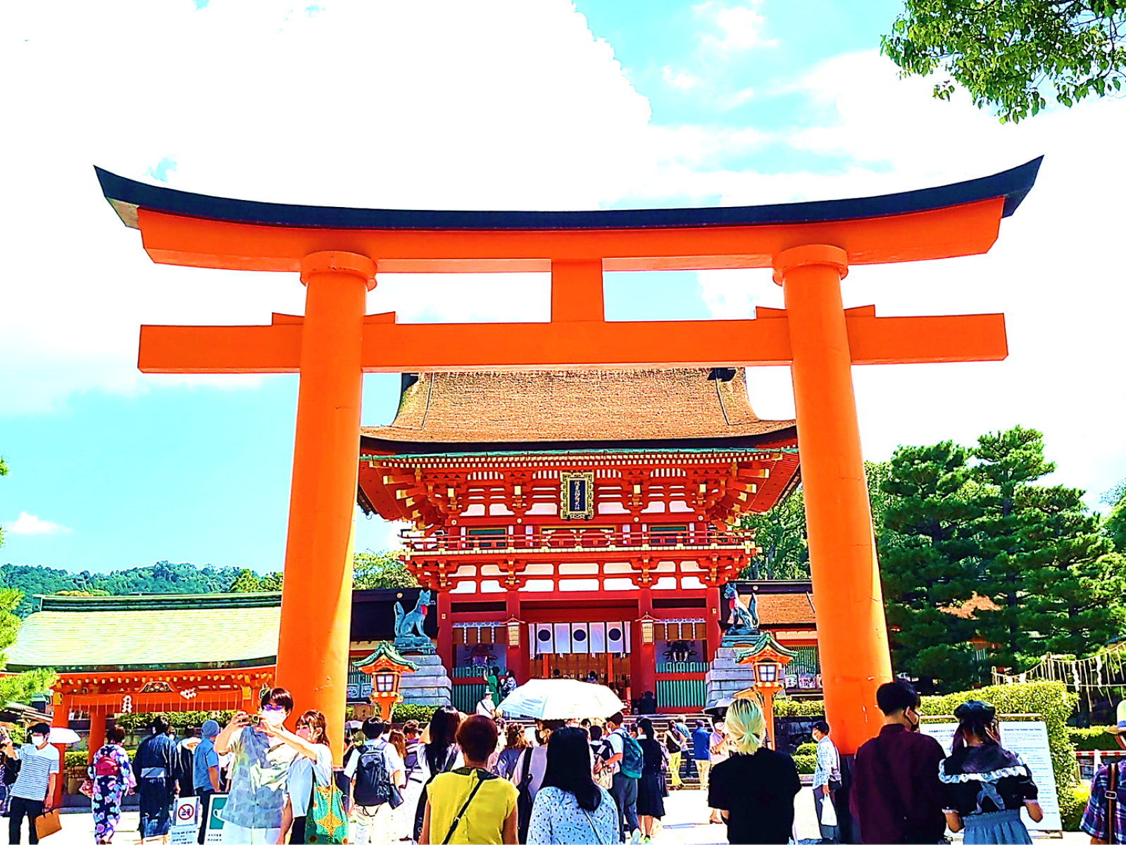 Complete Kyoto Tour in Half Day! Explore All 8 Popular Sights!